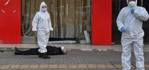 Год панедемии. Узнает ли человечество, откуда взялся COVID-19?